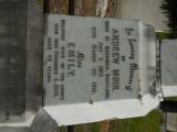 image of grave number 760536